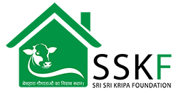 Sri Sri Kripa Foundation - Foundation